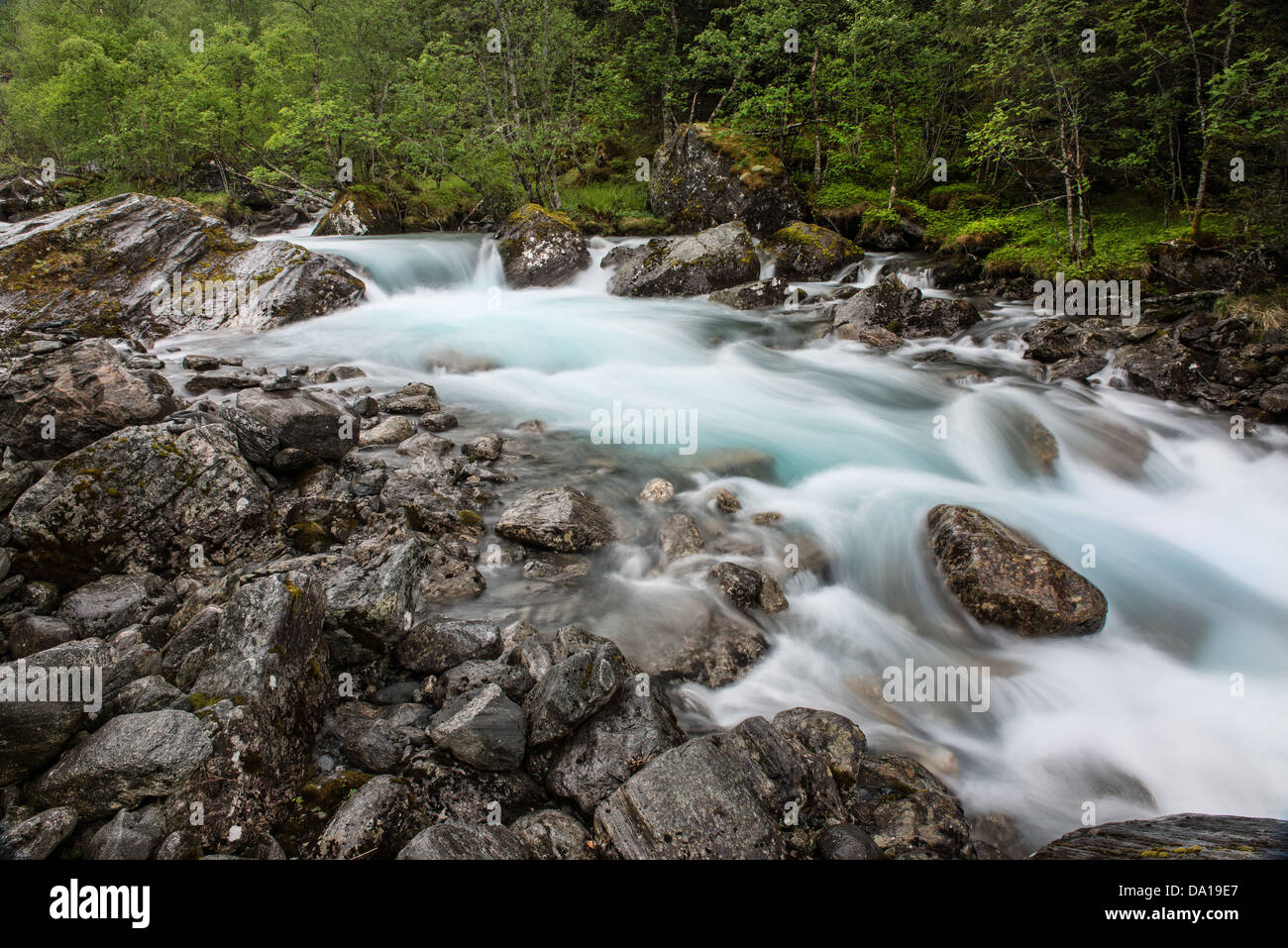 La natura nel nord della Norvegia Foto Stock