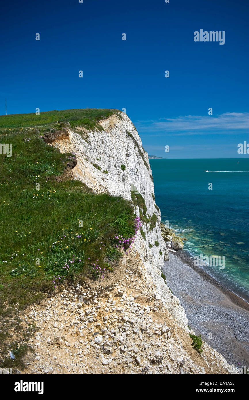 La scogliera a Fort Redoubt in acqua dolce Bay sull'Isola di Wight, Regno Unito Foto Stock