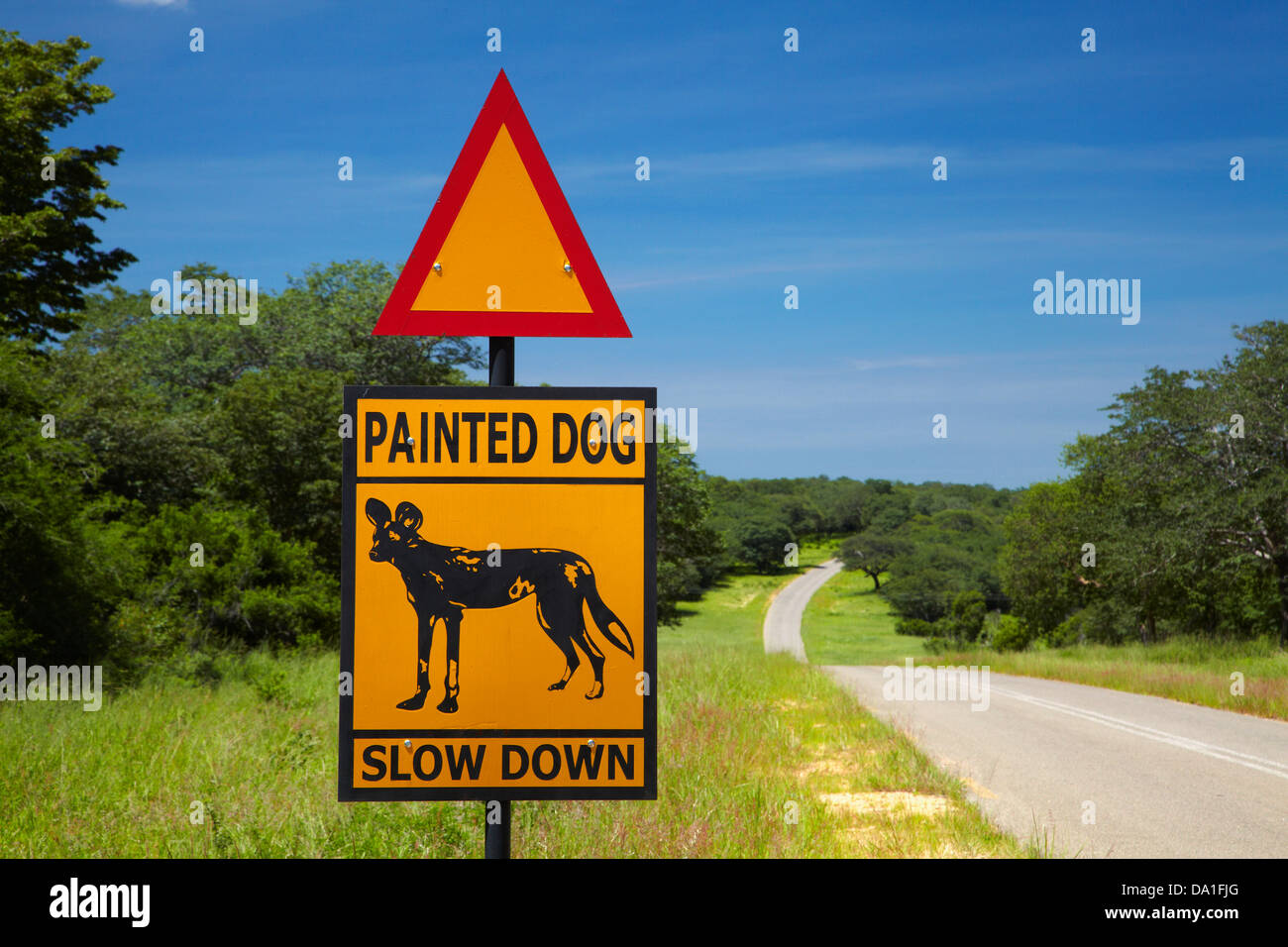 Dipinto di cane segno di avvertimento, vicino al Parco Nazionale di Hwange, Zimbabwe, Sud Africa Foto Stock