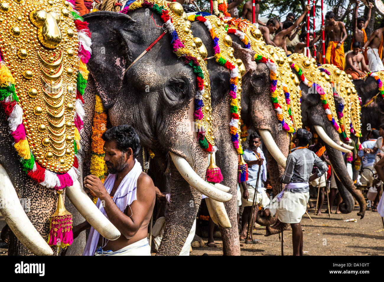 Thrissur, Pooram Festival tempio, Thrissur, Kerala, India Foto Stock