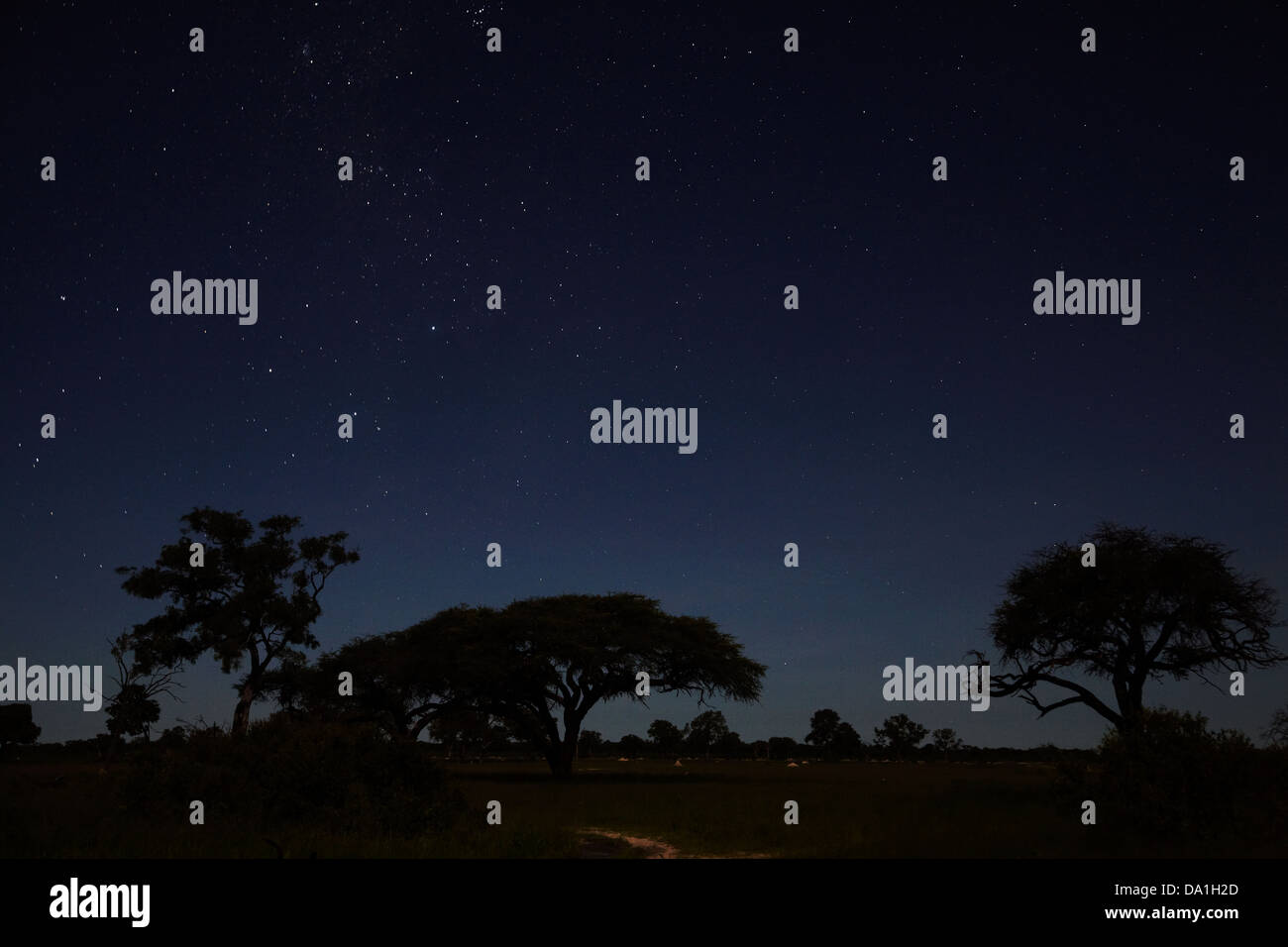 Cielo notturno visto da Ngweshla Camp, Parco Nazionale di Hwange, Zimbabwe, Sud Africa Foto Stock