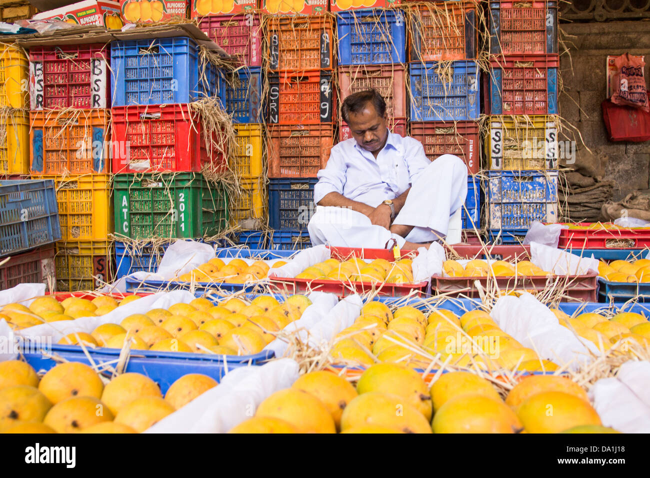 Manghi nel mercato Crawford, Mumbai, India Foto Stock
