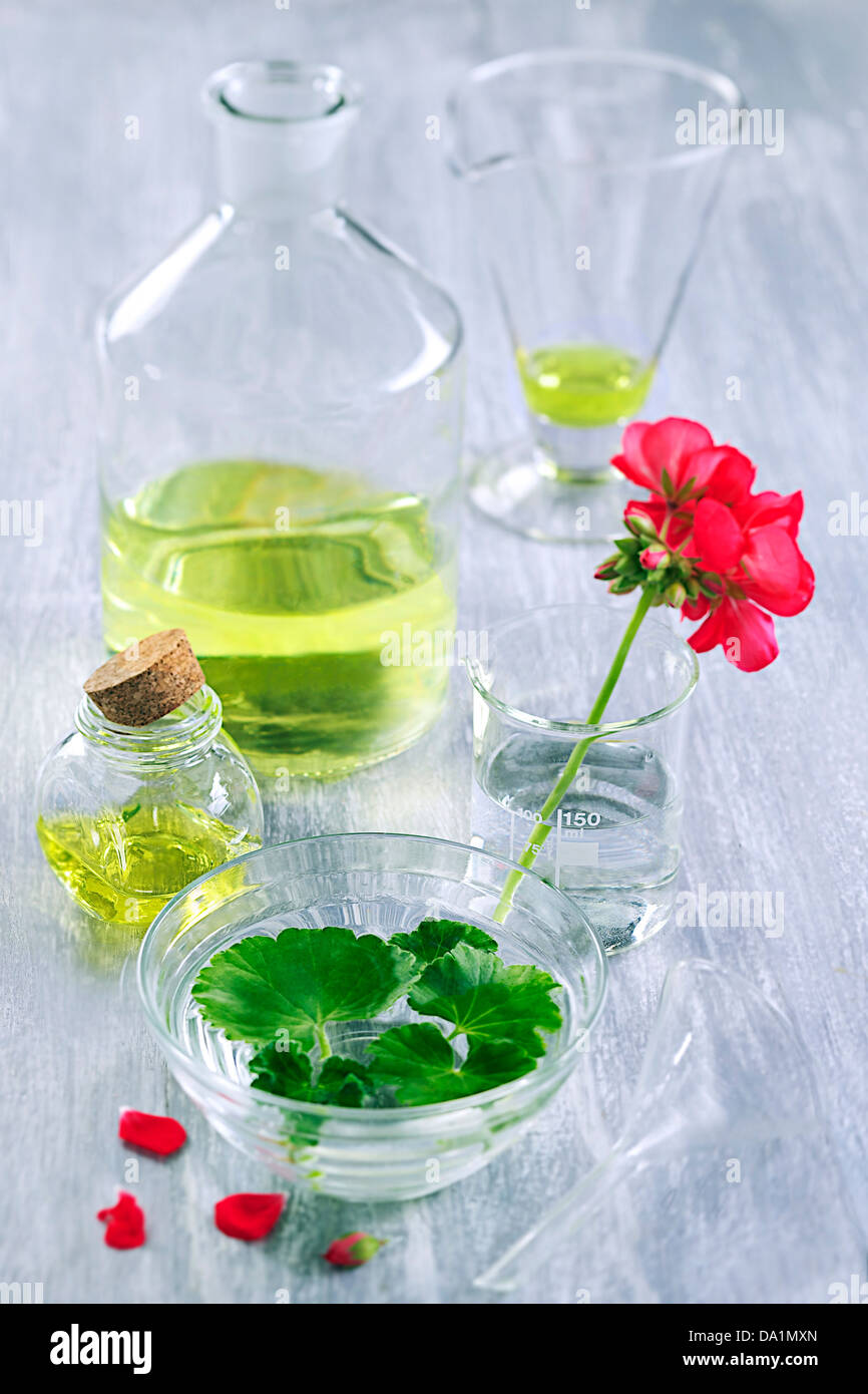 OLIO ESSENZIALE Foto Stock