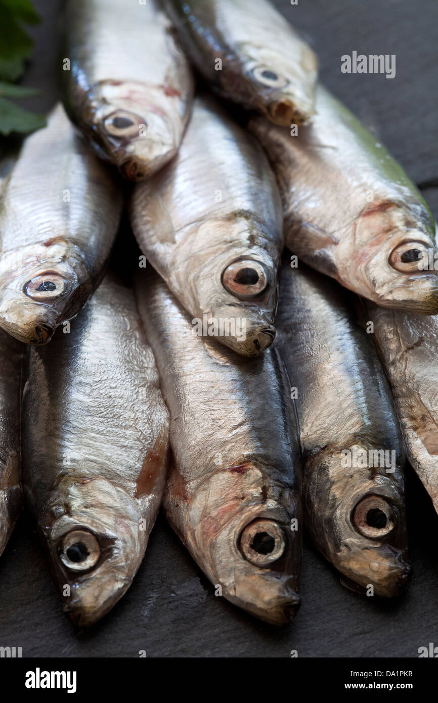 Sacco di acciughe. Foto Stock