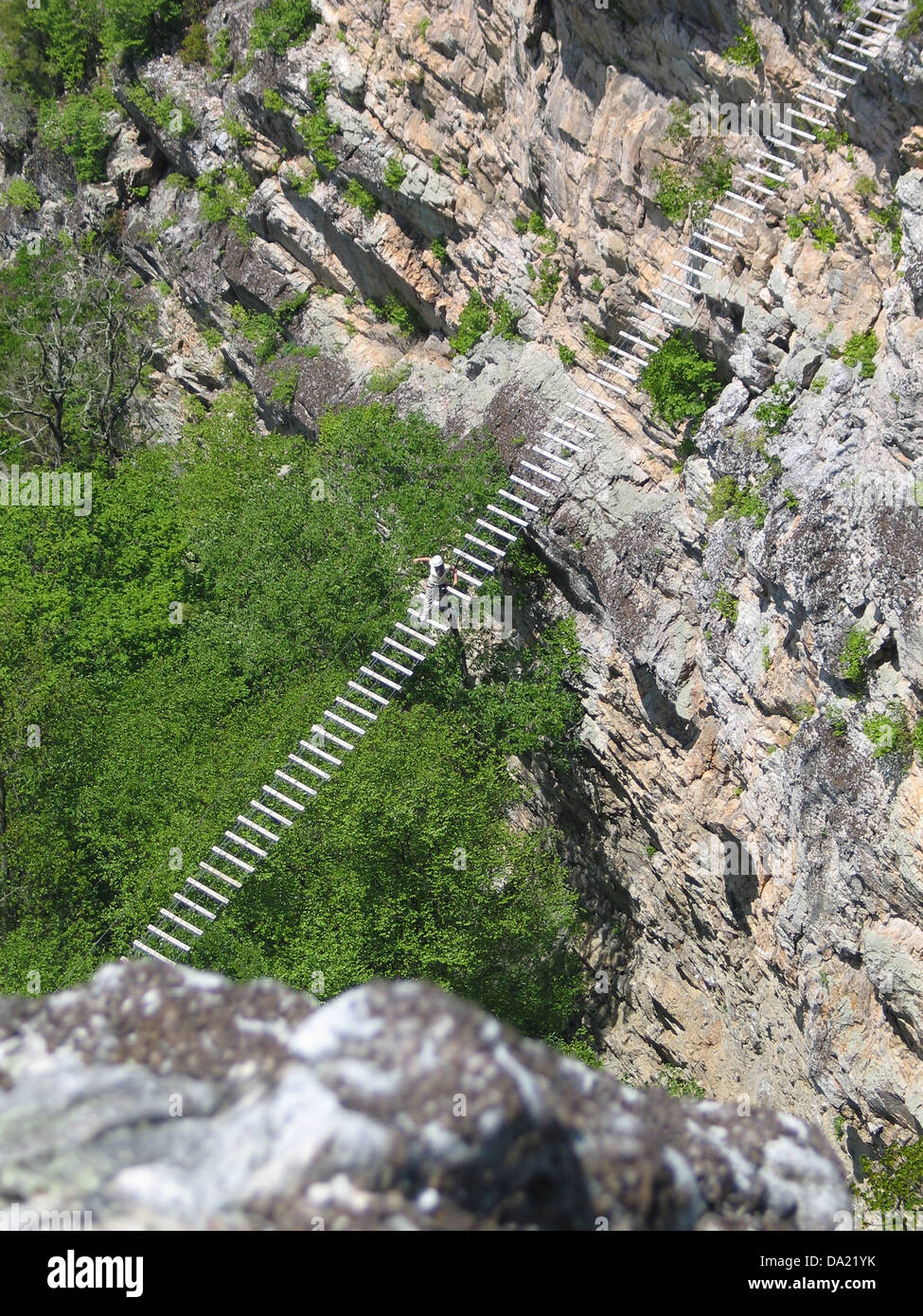 Una donna attraversa l'oscillazione di un piede cavo ponte attraverso una gola, Via Ferrata, Nelson rocce, West Virginia, Stati Uniti d'America Foto Stock