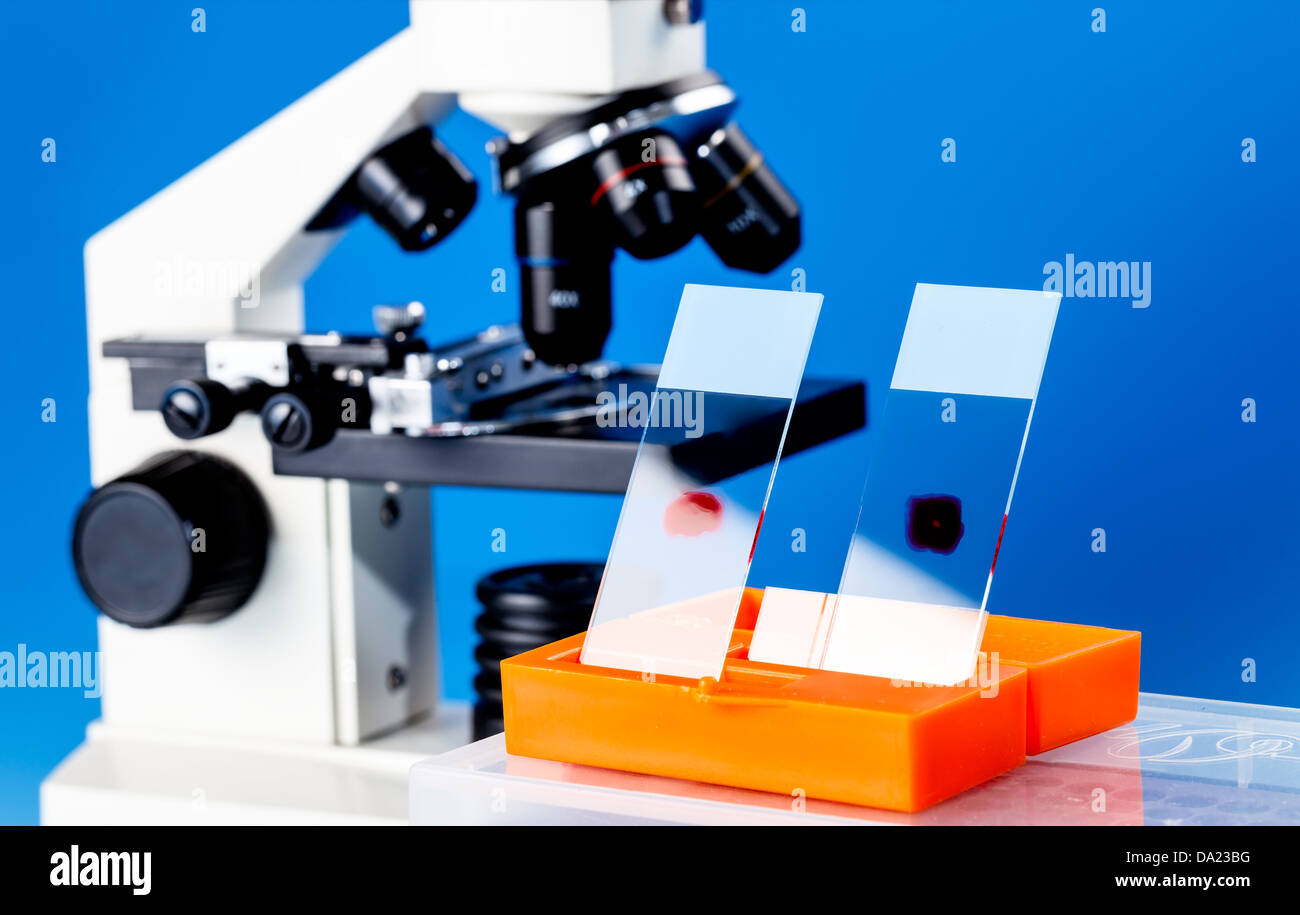 Vetrini per microscopi in un laboratorio Foto Stock