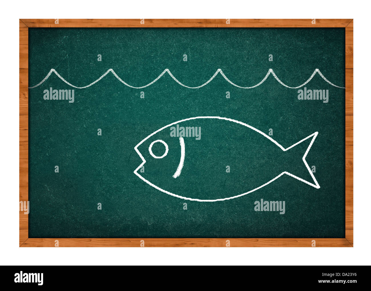 La stagione di pesca. Disegno di un pesce sulla lavagna verde dello sfondo  Foto stock - Alamy