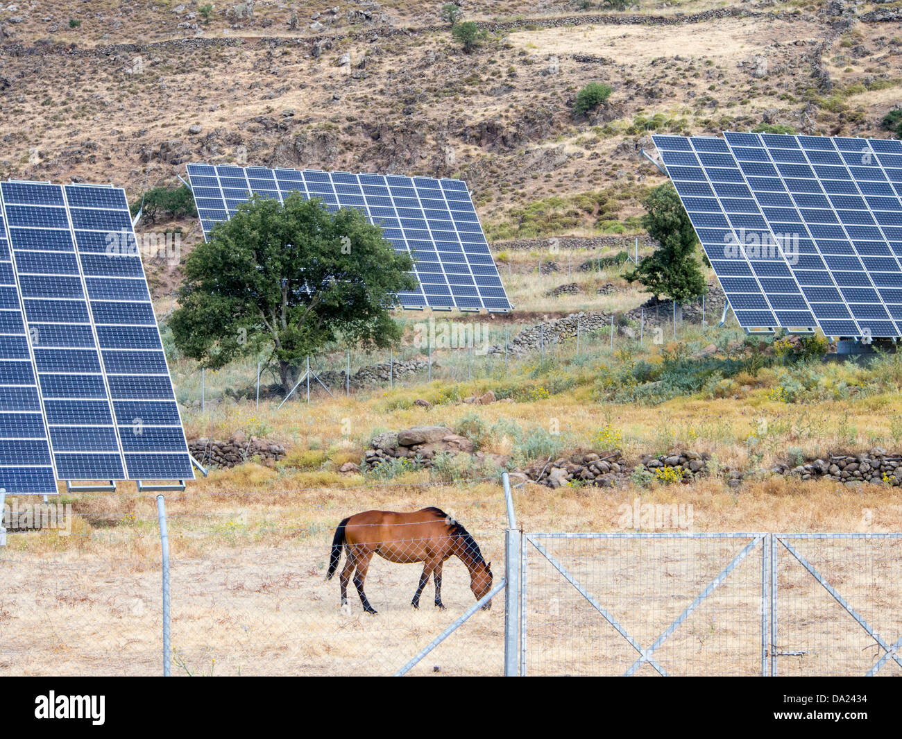 Un solar power station su Lesbo, Grecia composto da un numero di tracking fotovoltaiche pannelli Foto Stock