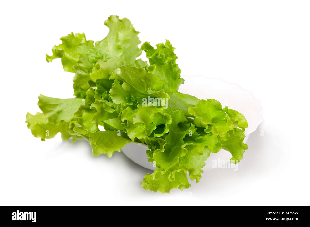 Fresca e insalata verde su sfondo bianco, food concept Foto Stock