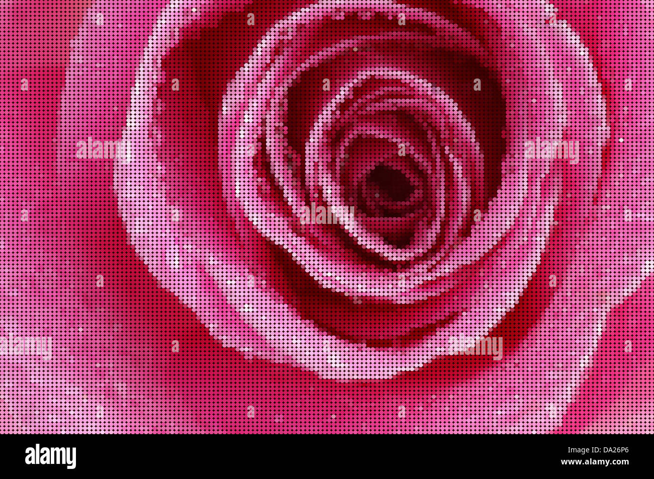 Stile mosaico immagine di una rosa rosa Foto Stock