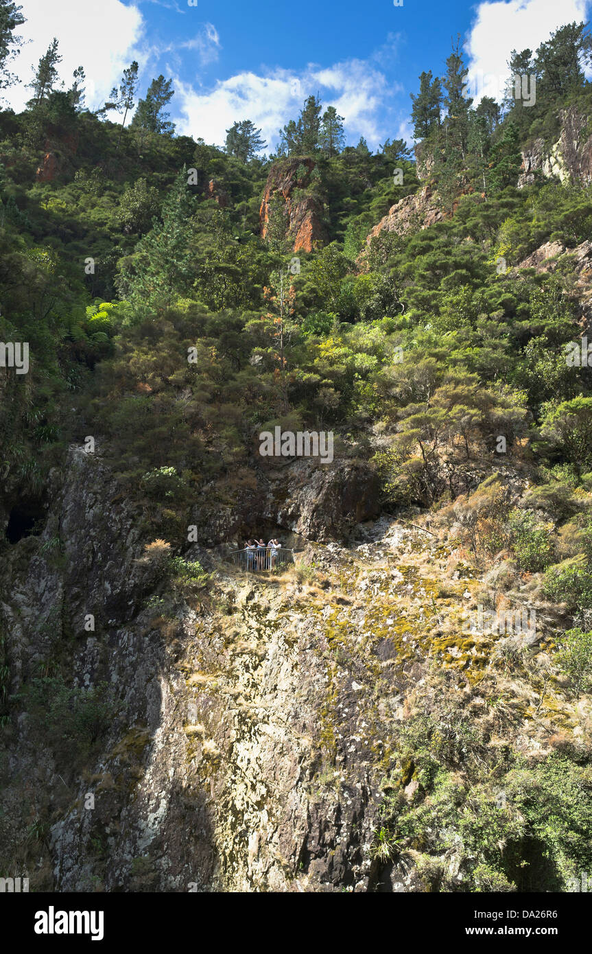 Dh Waitawheta fiume KARANGAHAKE GORGE Popolo della Nuova Zelanda a tunnel di data mining cliff look out Foto Stock