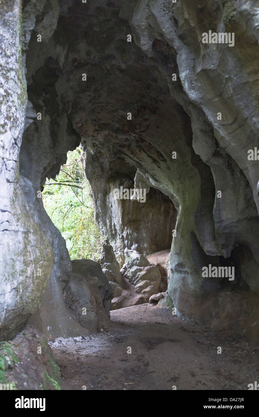 dh WAITOMO NEOZELANDESE grotte calcaree sentiero grotta di pietra Foto Stock