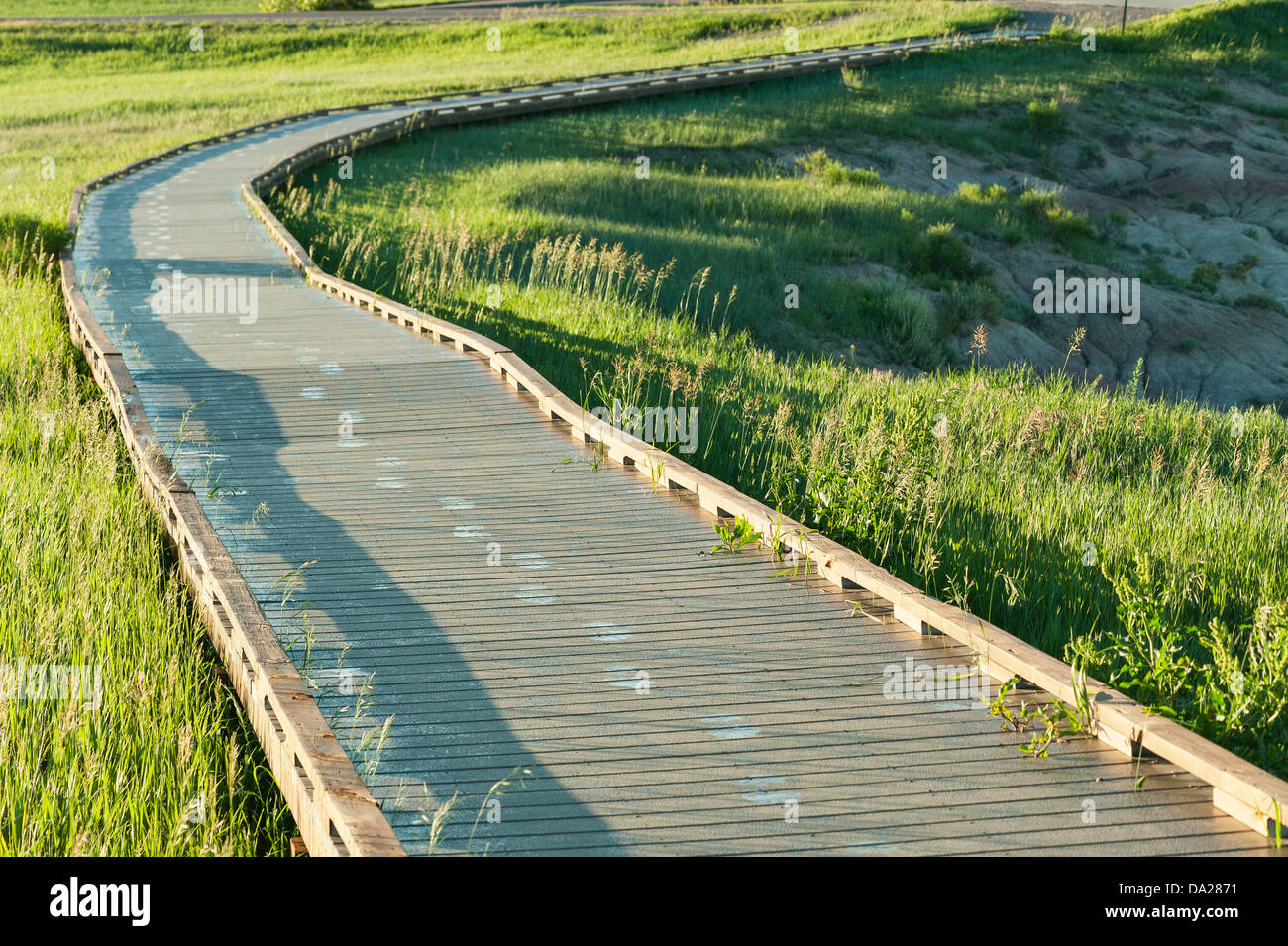 Impronte in la rugiada che conducano verso un si affacciano nel Parco nazionale Badlands, South Dakota. Foto Stock