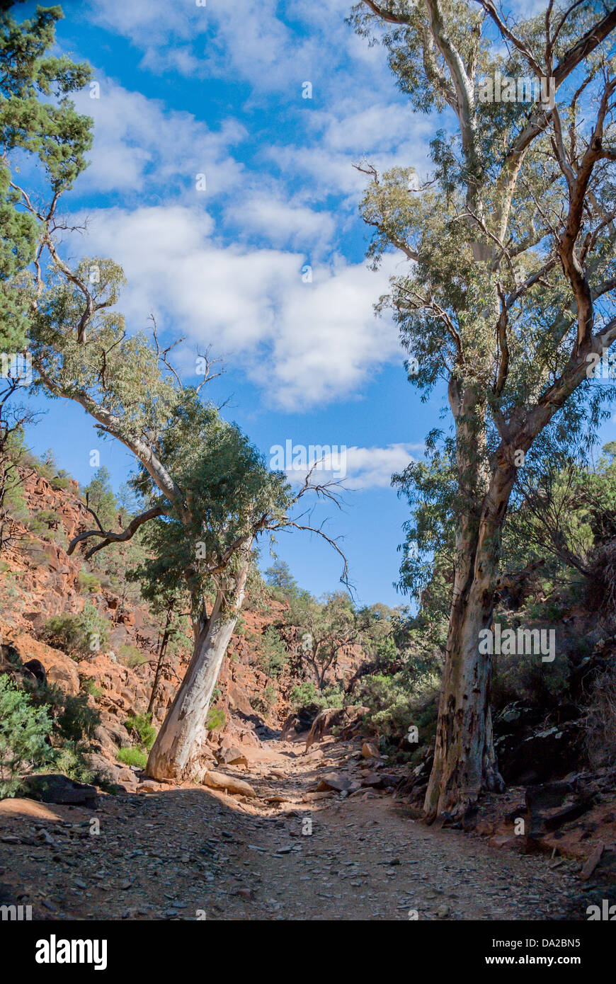 La resistente bellissimo Flinders Ranges nell'outback australiano. Foto Stock