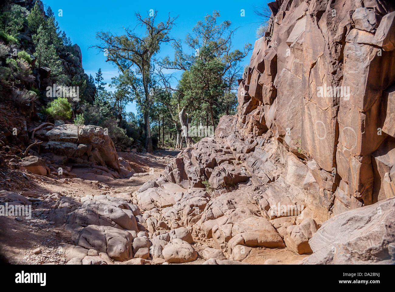Il sacro Canyon nelle splendide Flinders Ranges nell'entroterra australiano. Un tradizionale luogo d'incontro aborigeno contenente sculture di roccia a Foto Stock