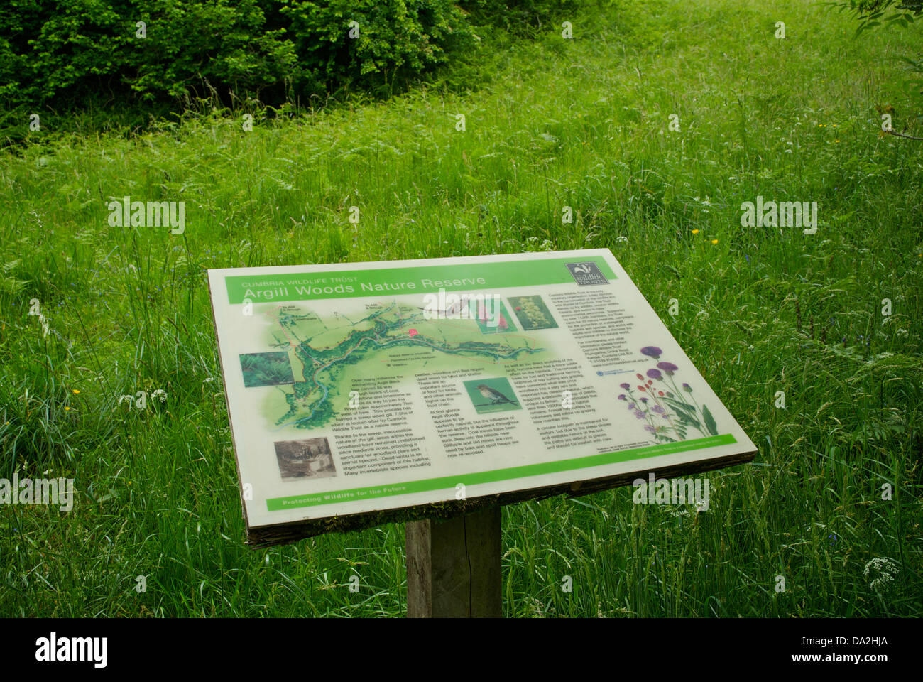 Il pannello delle informazioni in Argill boschi a Cumbria Wildlife Trust nella riserva naturale del Nord Stainmore, Cumbria, England Regno Unito Foto Stock