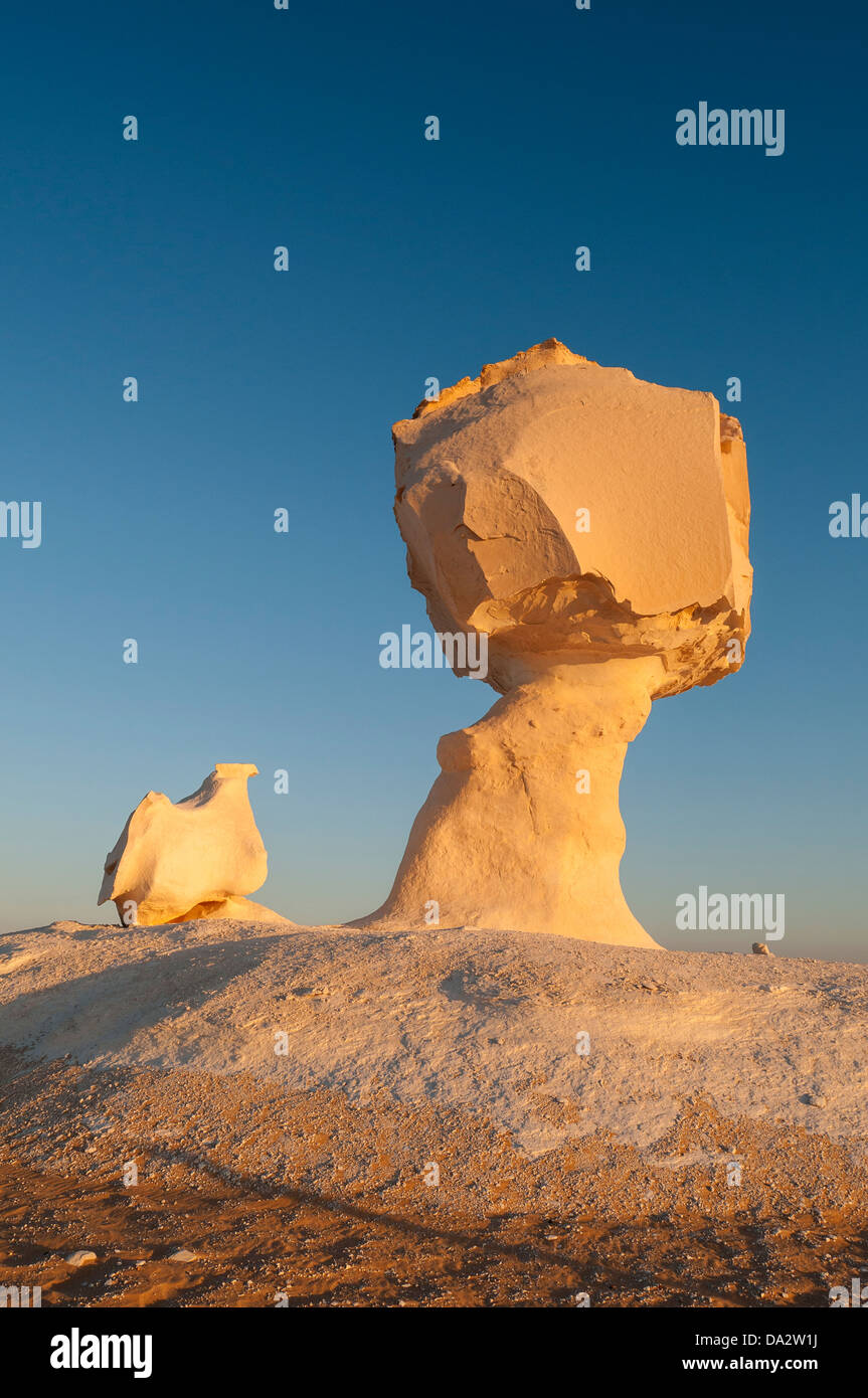 Pollo & Fungo Rock Formazione, White Desert (Sahara el Beyda), Egitto Foto Stock
