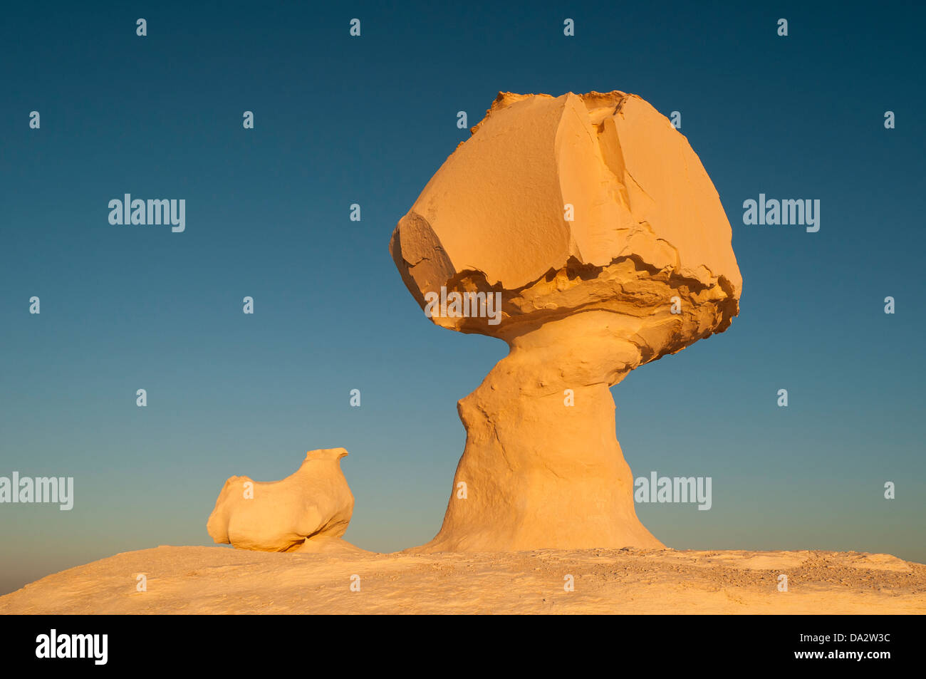 Pollo & Fungo Rock Formazione, White Desert (Sahara el Beyda), Egitto Foto Stock