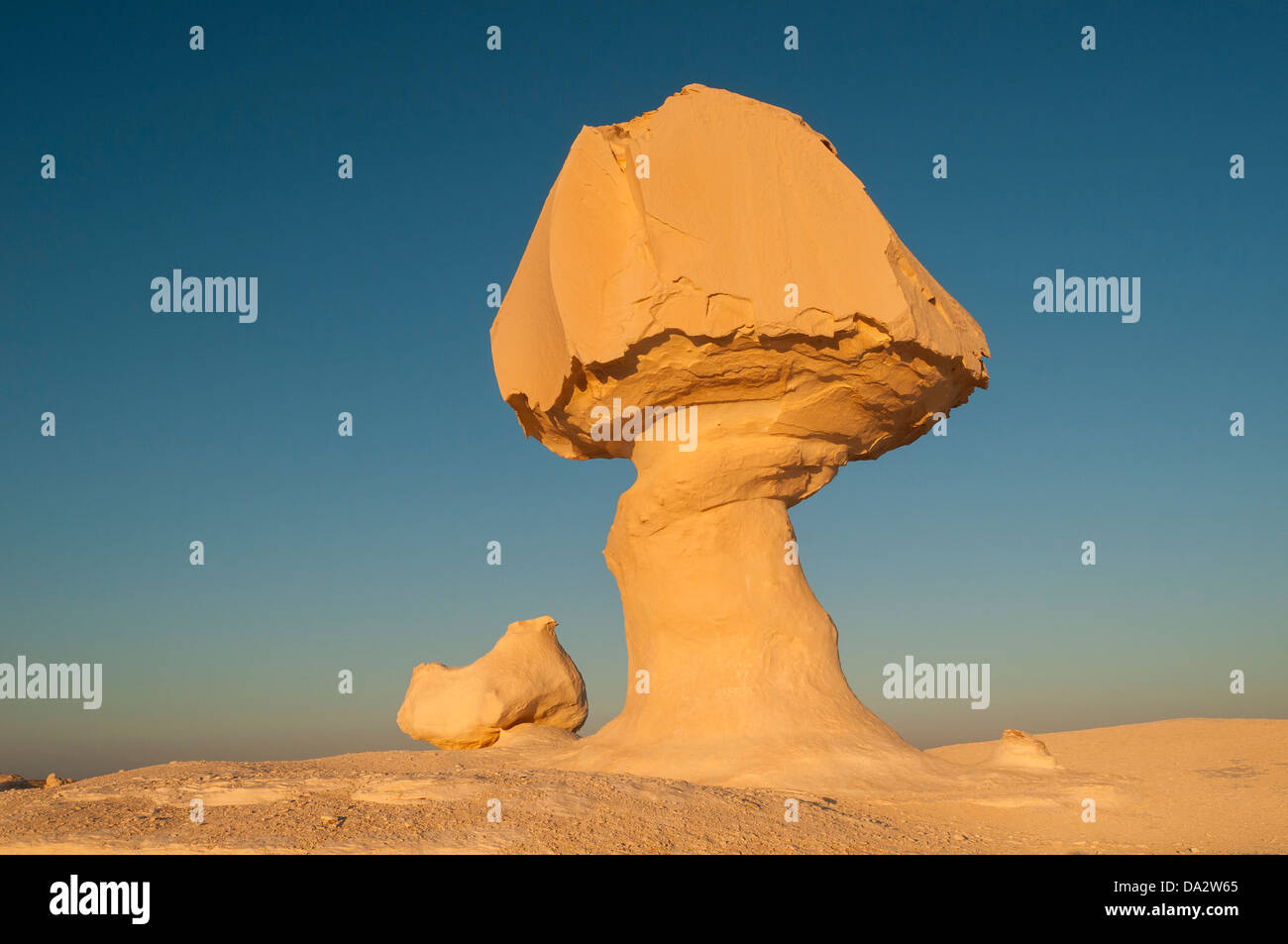 Pollo & Fungo Rock Formazione, White Desert (Sahara el Beyda), Egitto Foto Stock