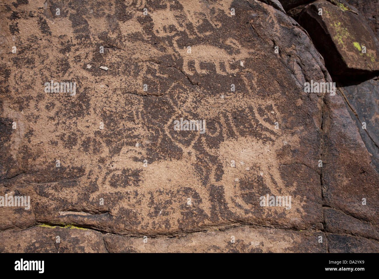 Petroglifi preistorici in Hieroglyph Canyon est di Phoenix, Arizona. Foto Stock