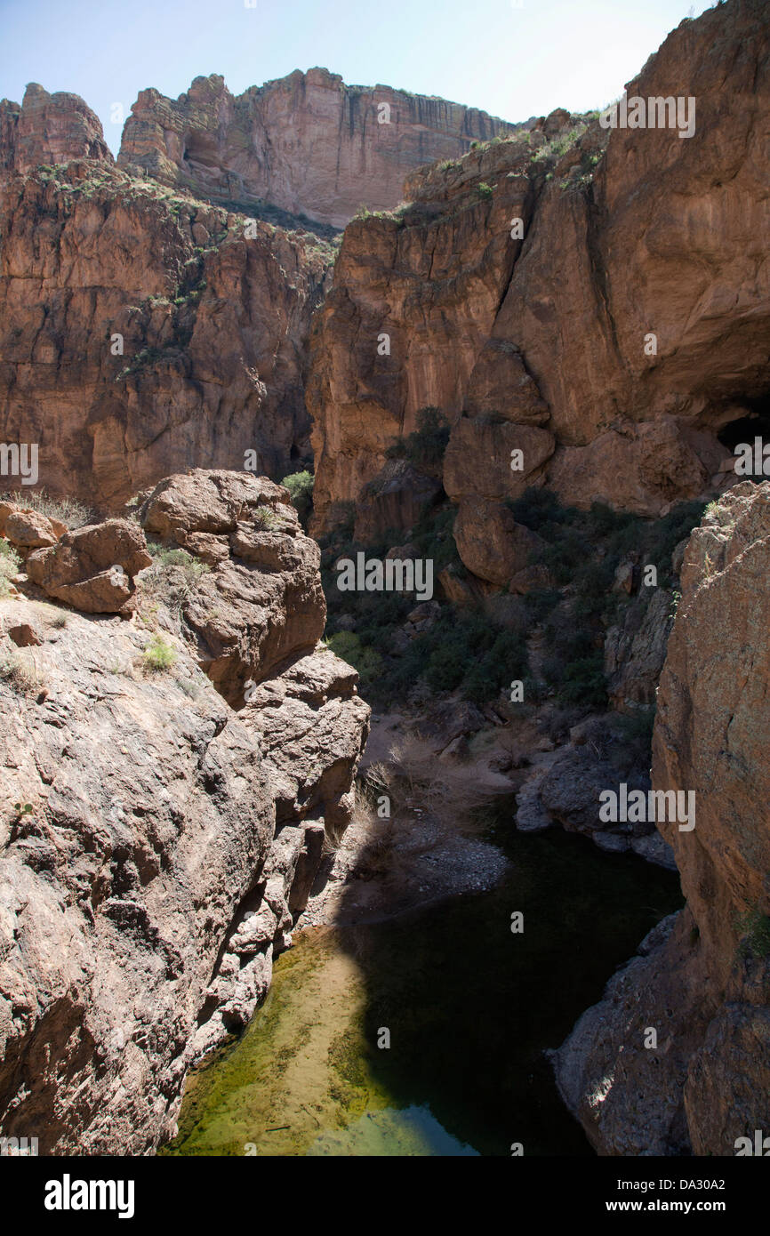 Pesce Creek nella superstizione monti ad est di Phoenix, Arizona. Foto Stock