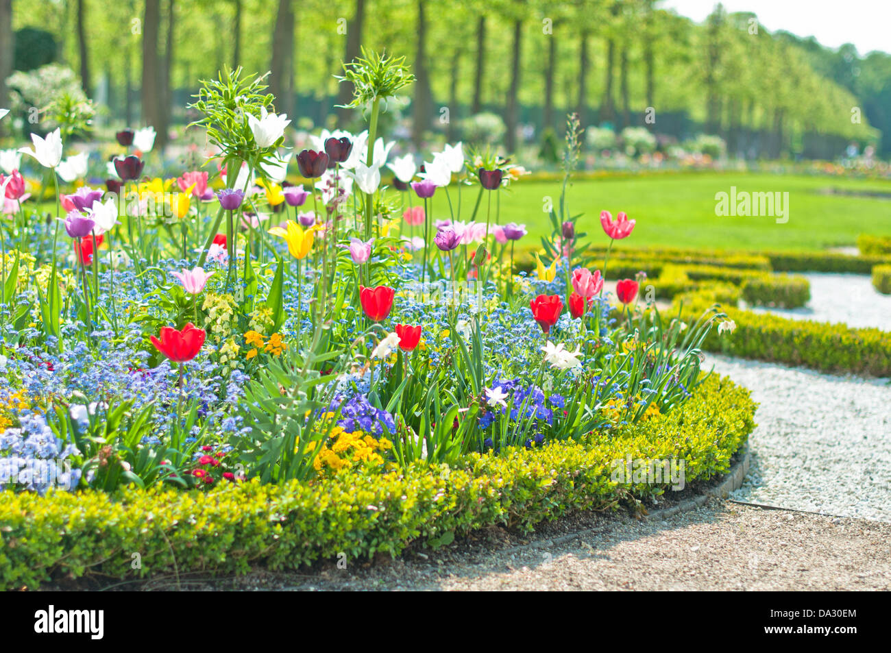 Bett, Außenaufnahme, Dekoration, Wiese, Rasun, Gärtnerisch gestaltet, Natur, Blüte, Blatt, Sommer, Feld, Festlich gekleidet Foto Stock