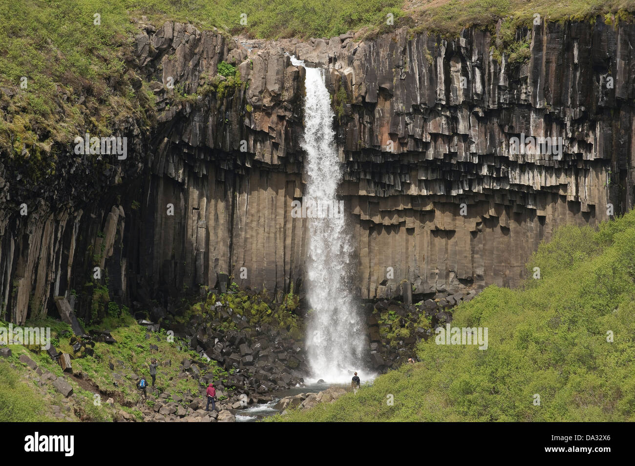 Svartifoss (significato cascata nero) con basalto colonnare e una cascata  vista generale, Skaftafell National Park, Islanda Foto stock - Alamy