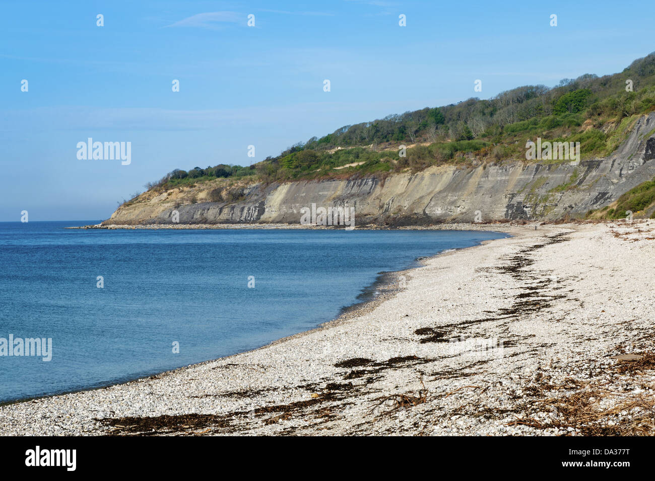 La spiaggia e la Jurassic scogliere a Lyme Regis, Dorset. Foto Stock