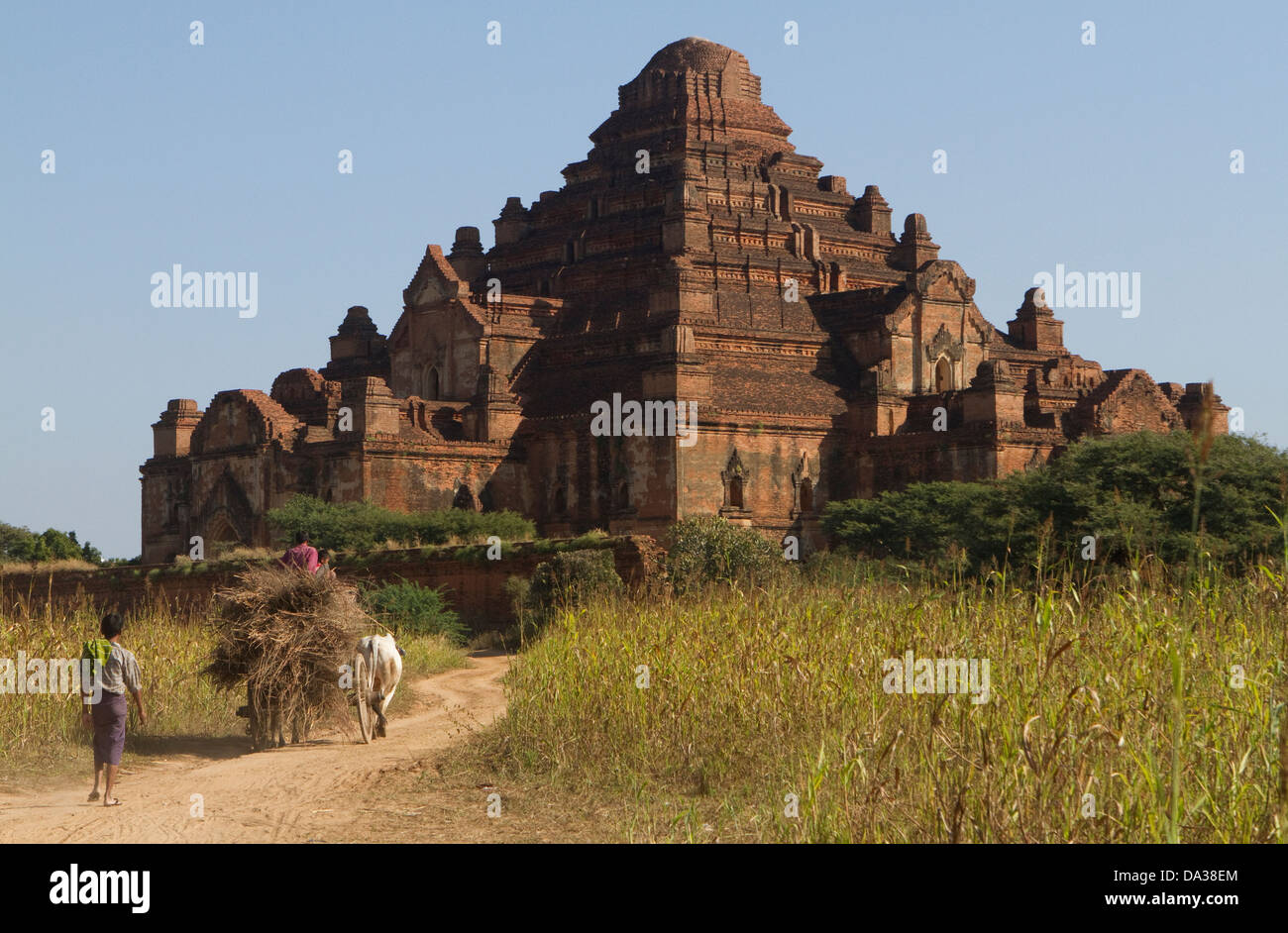 Dhammayangyi tempio buddista costruito nel 1164 Bagan Myanmar Foto Stock