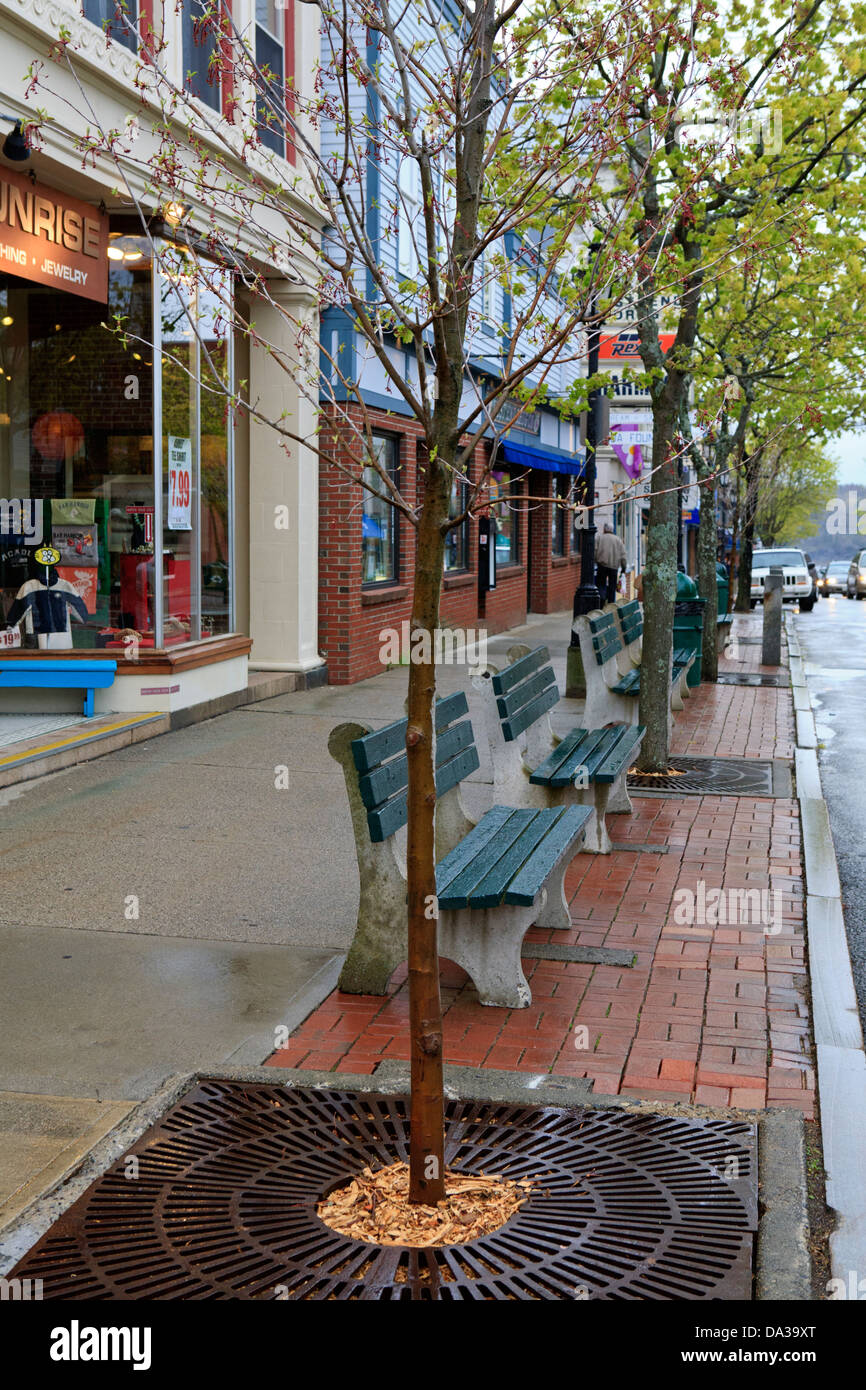 Vetrine in Bar Harbor, Maine. Foto Stock