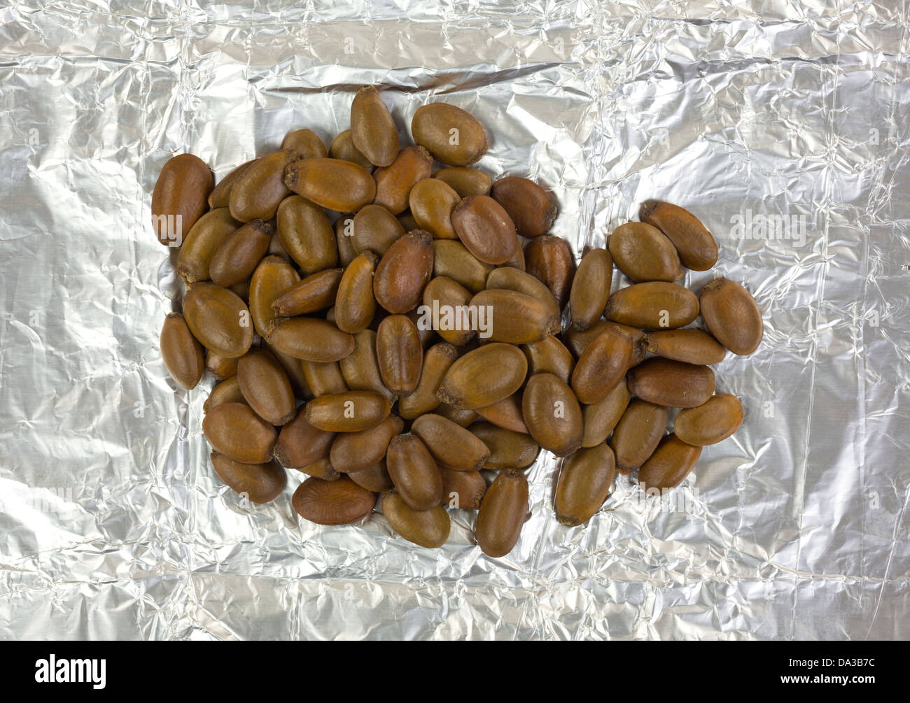 Un gruppo di soursop semi su un pezzo zigrinato di stagnola. Foto Stock