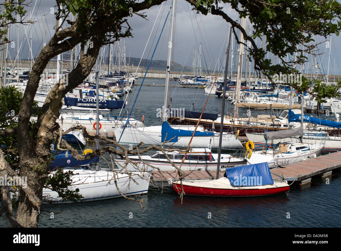 Barche e yacht a Dún Laoghaire port. Foto Stock