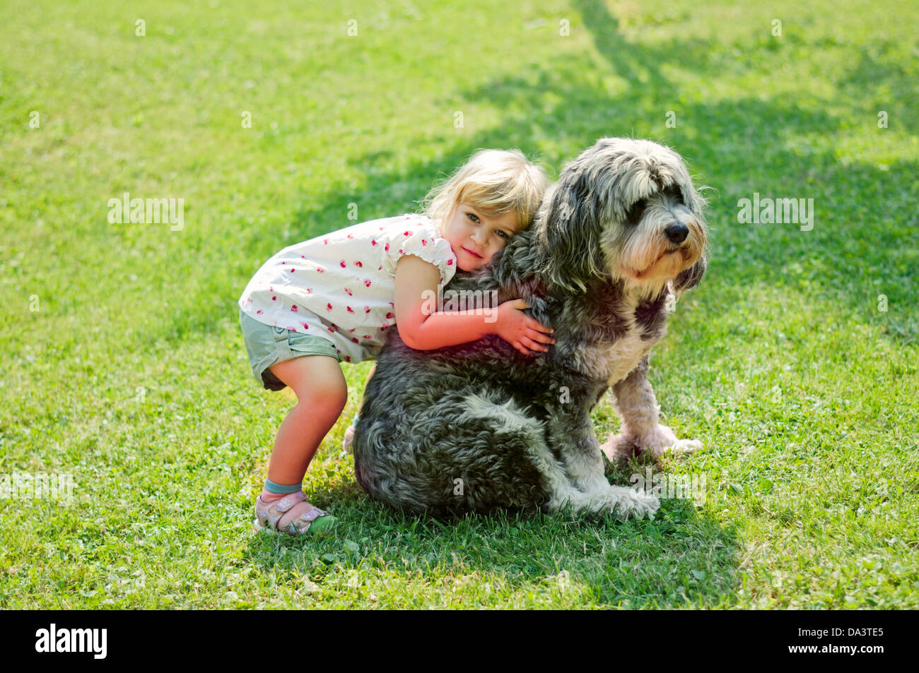 Bambina cuddling un amichevole big dog - Polacco Lowland Sheepdog, Polski Owczarek Nizinny, PON Foto Stock