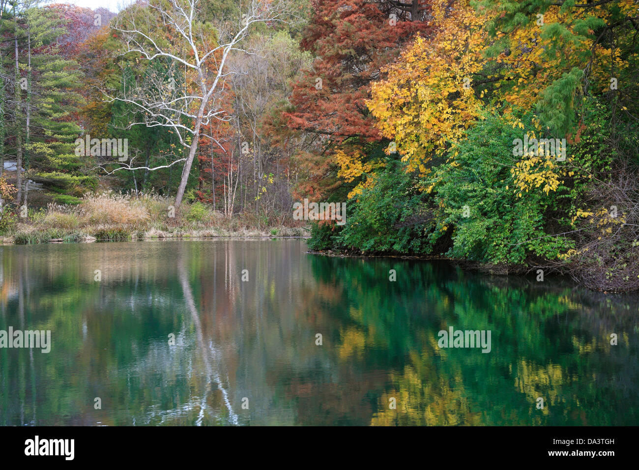 Un tranquillo laghetto ornato in Autunno colori, Southwestern Ohio, Stati Uniti d'America Foto Stock