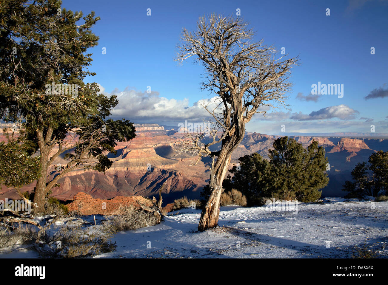 La neve fresca presso il Parco Nazionale del Grand Canyon, East Rim, Arizona, Stati Uniti d'America Foto Stock