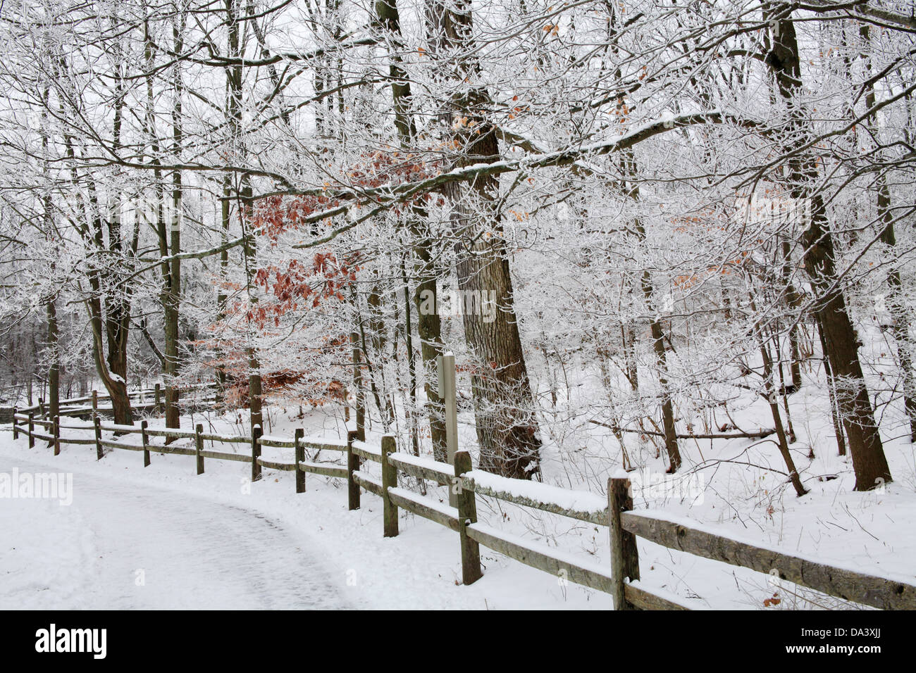Coperta di neve alberi, recinzione e percorso a piedi attraverso la foresta durante l'Inverno nel parco, Sharon boschi, Southwestern Ohio, Stati Uniti d'America Foto Stock