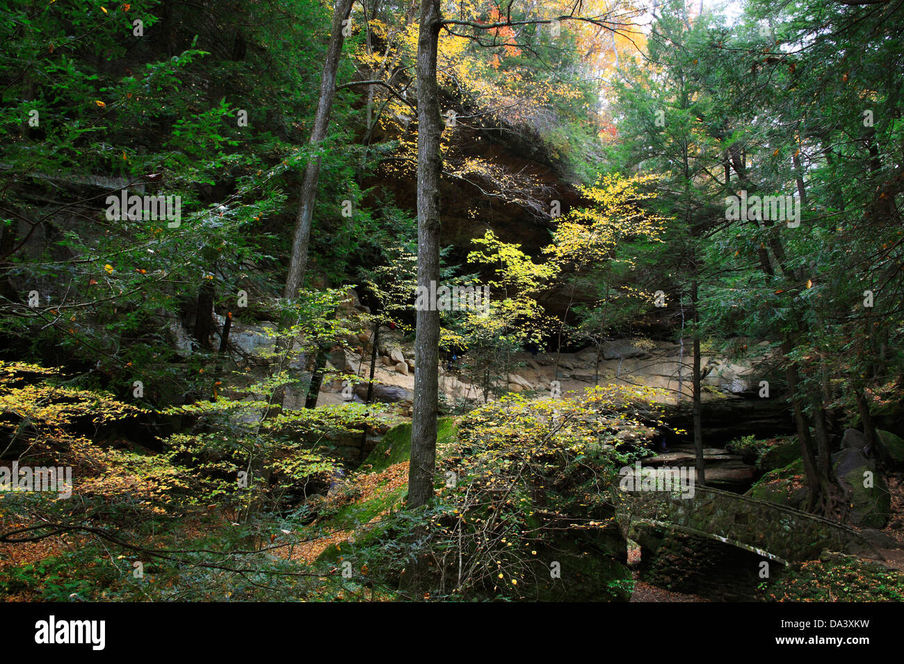 La panoramica Old Man's Cave parco dello stato vestito con i colori dell'autunno, la Hocking Hills la regione centrale del Ohio, Stati Uniti d'America Foto Stock