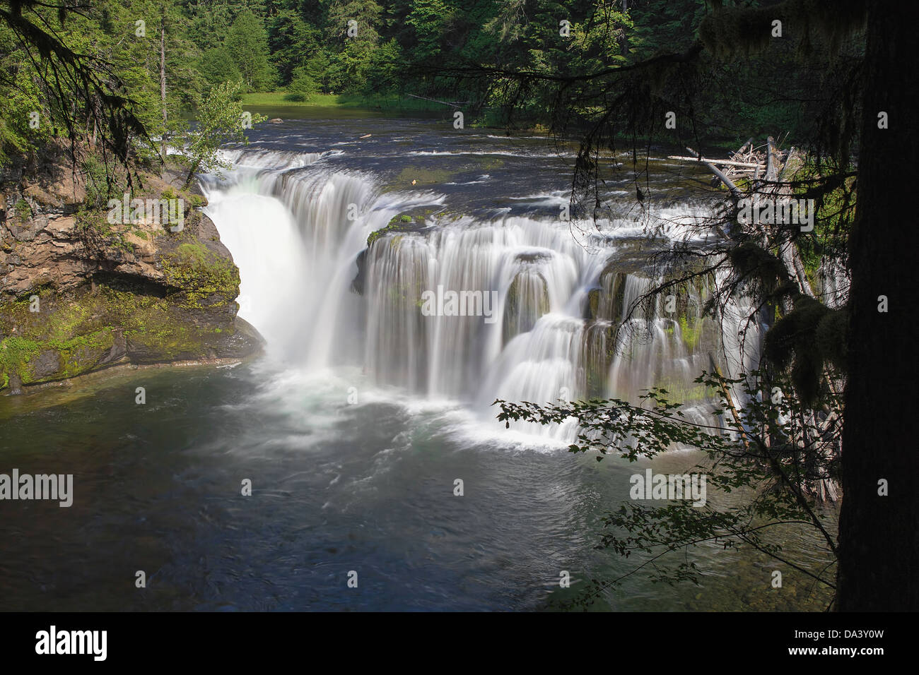 Abbassare Lewis River Falls nello Stato di Washington Foto Stock