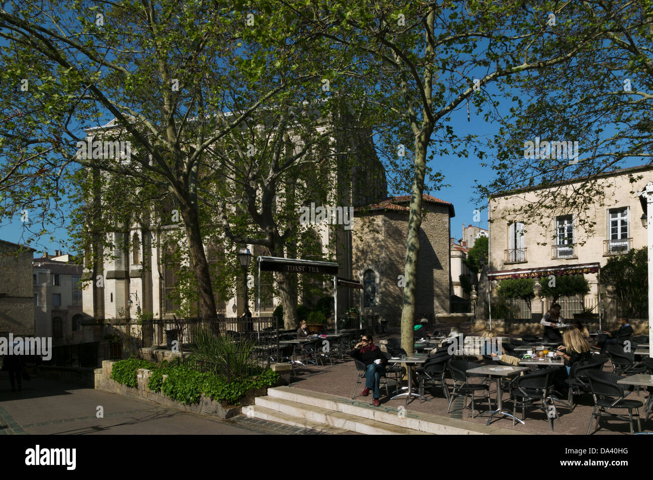 Square Dominique Bagouet e Chiesa di San Rocco , Montpellier, Languedoc-Roussillon, Francia Foto Stock