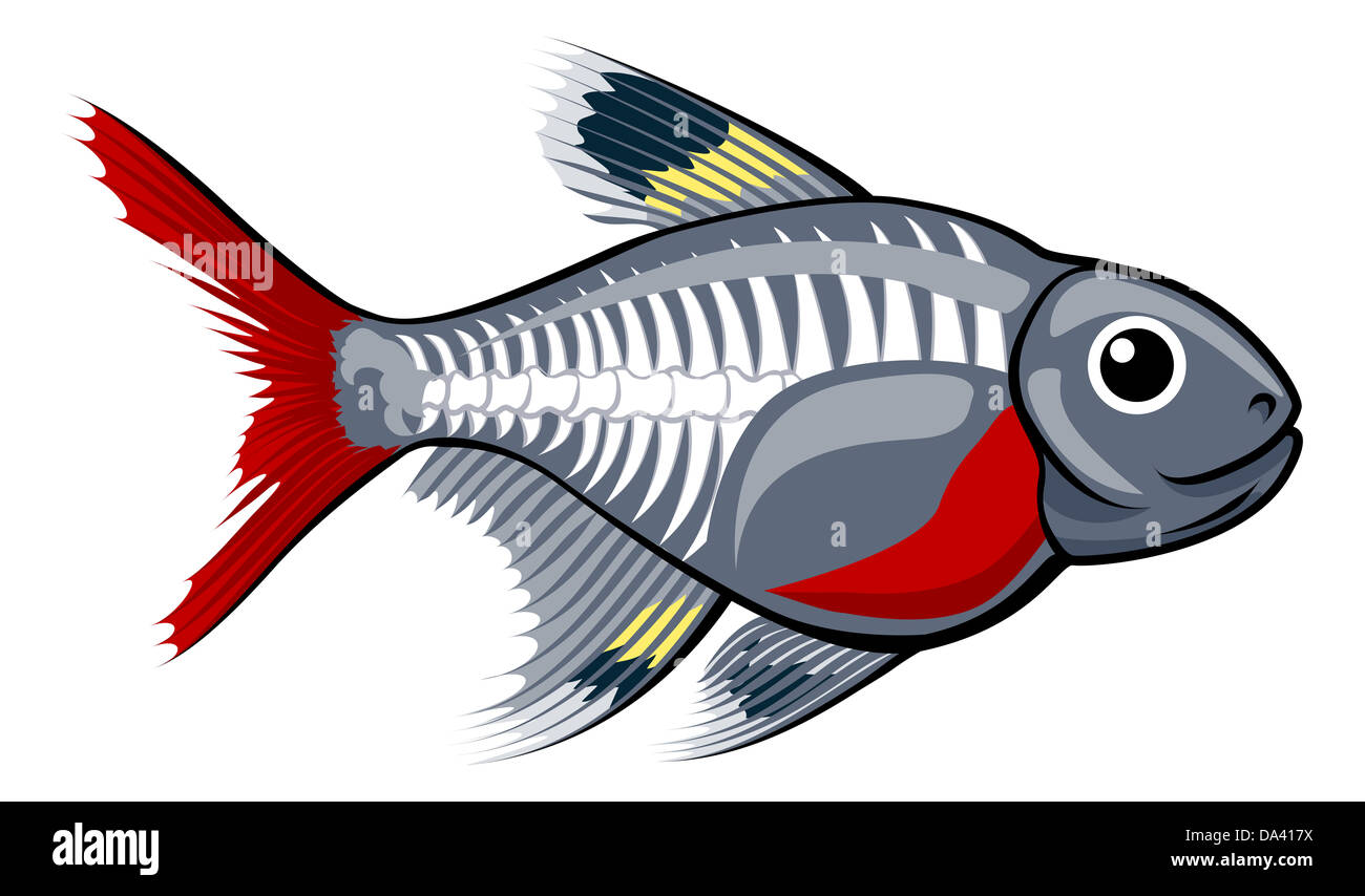 Una illustrazione di un simpatico x-ray tetra pesci cartoon Foto Stock