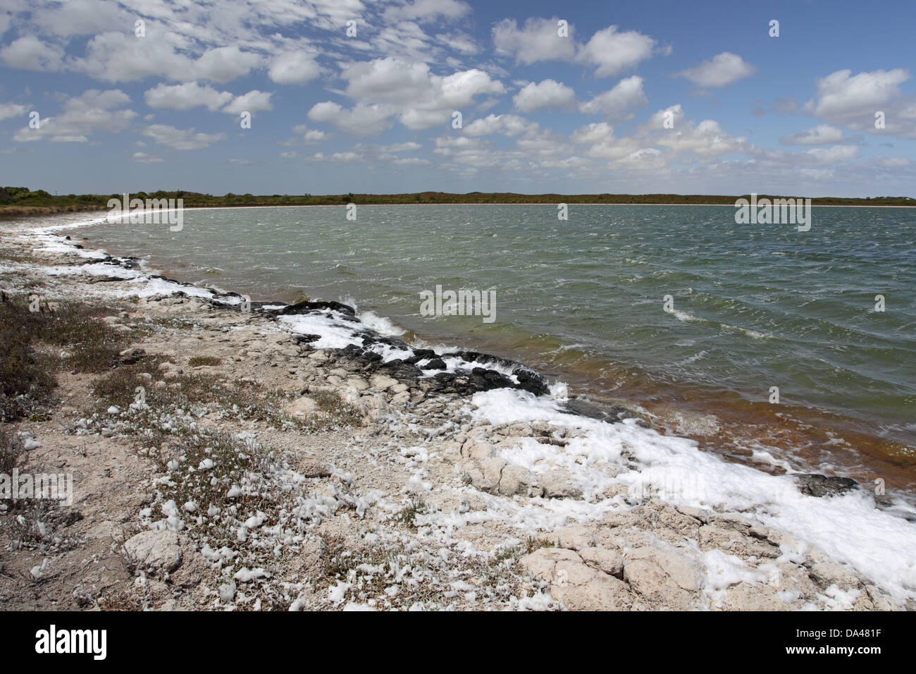 Schiuma (sale) soffiata sulla banca di saline costiere acqua di lago è di 1,3 - 1,4 volte più soluzione salina rispetto al normale acqua di mare Lago Thetis Foto Stock