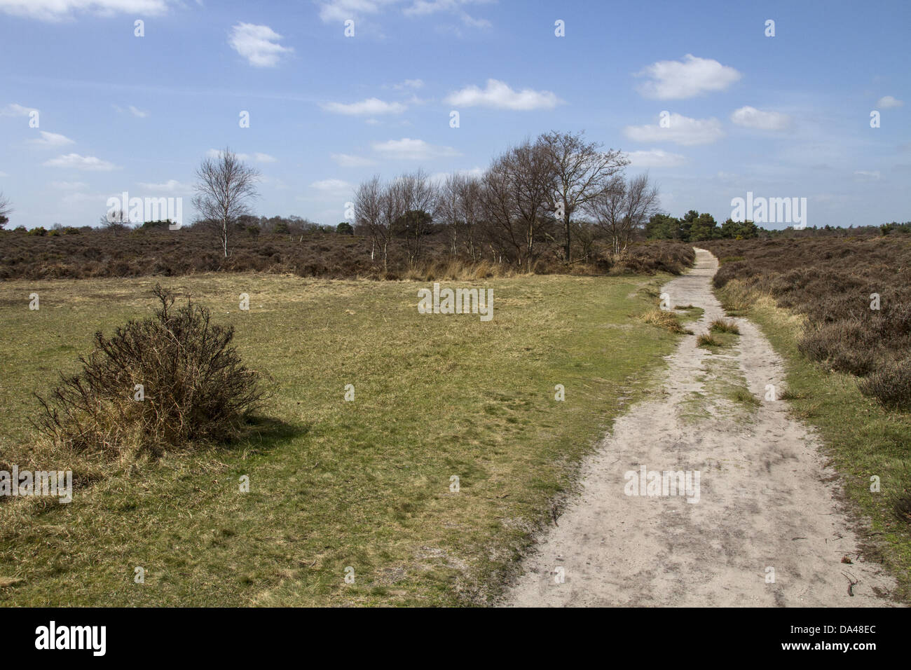 Percorso a piedi su Dunwich Heath, Suffolk - primavera Foto Stock