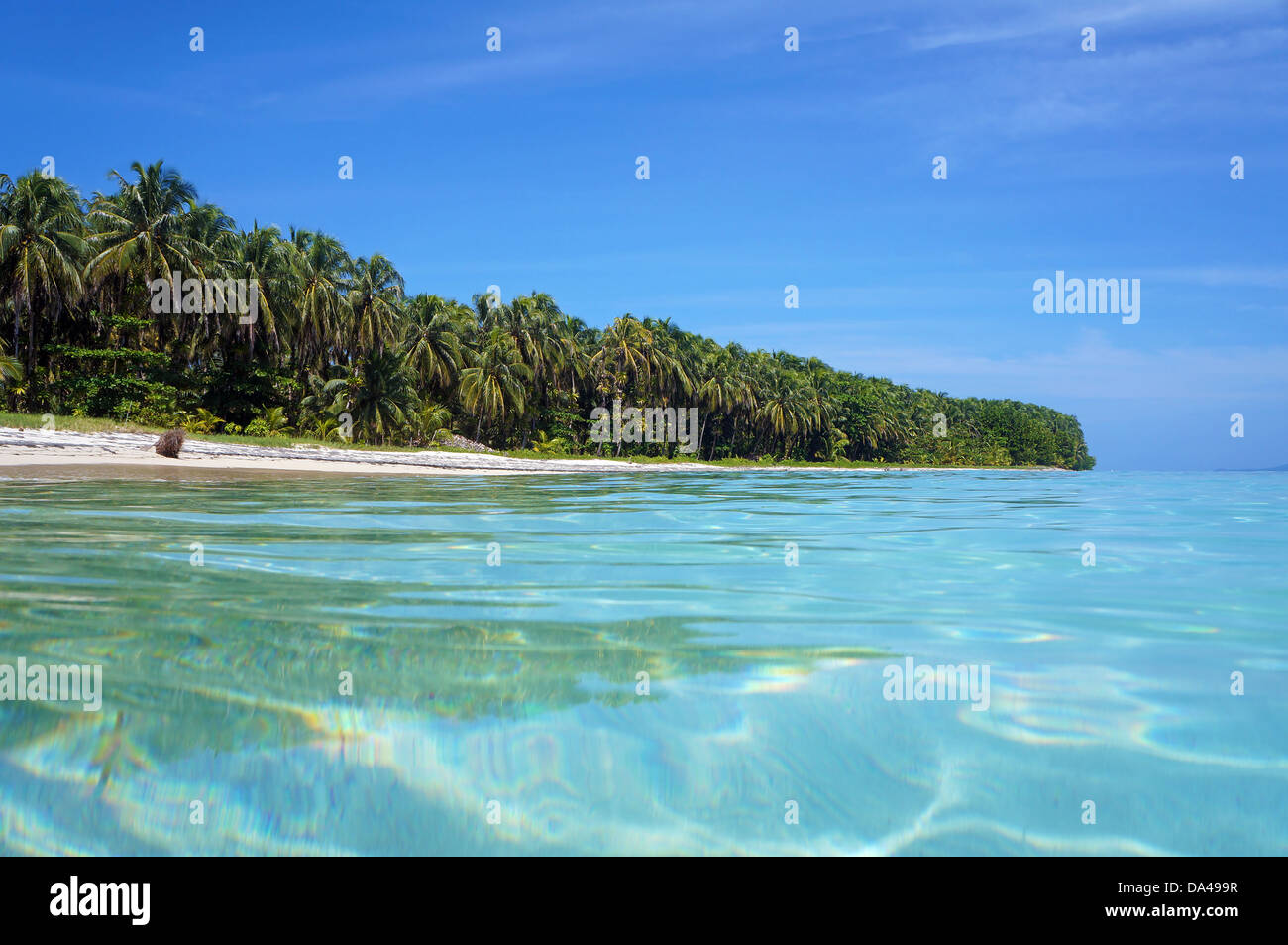 Vista dalla superficie di acqua su un isola tropicale spiaggia con alberi di noce di cocco, Caraibi, Zapatillas isole di Bocas del Toro, Panama Foto Stock