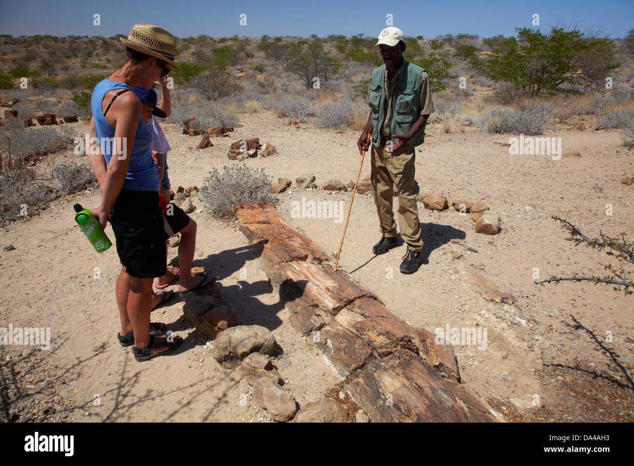 La famiglia e la guida guardando impietrito tronco di albero, Foresta Pietrificata, Damaraland, Namibia, Africa Foto Stock