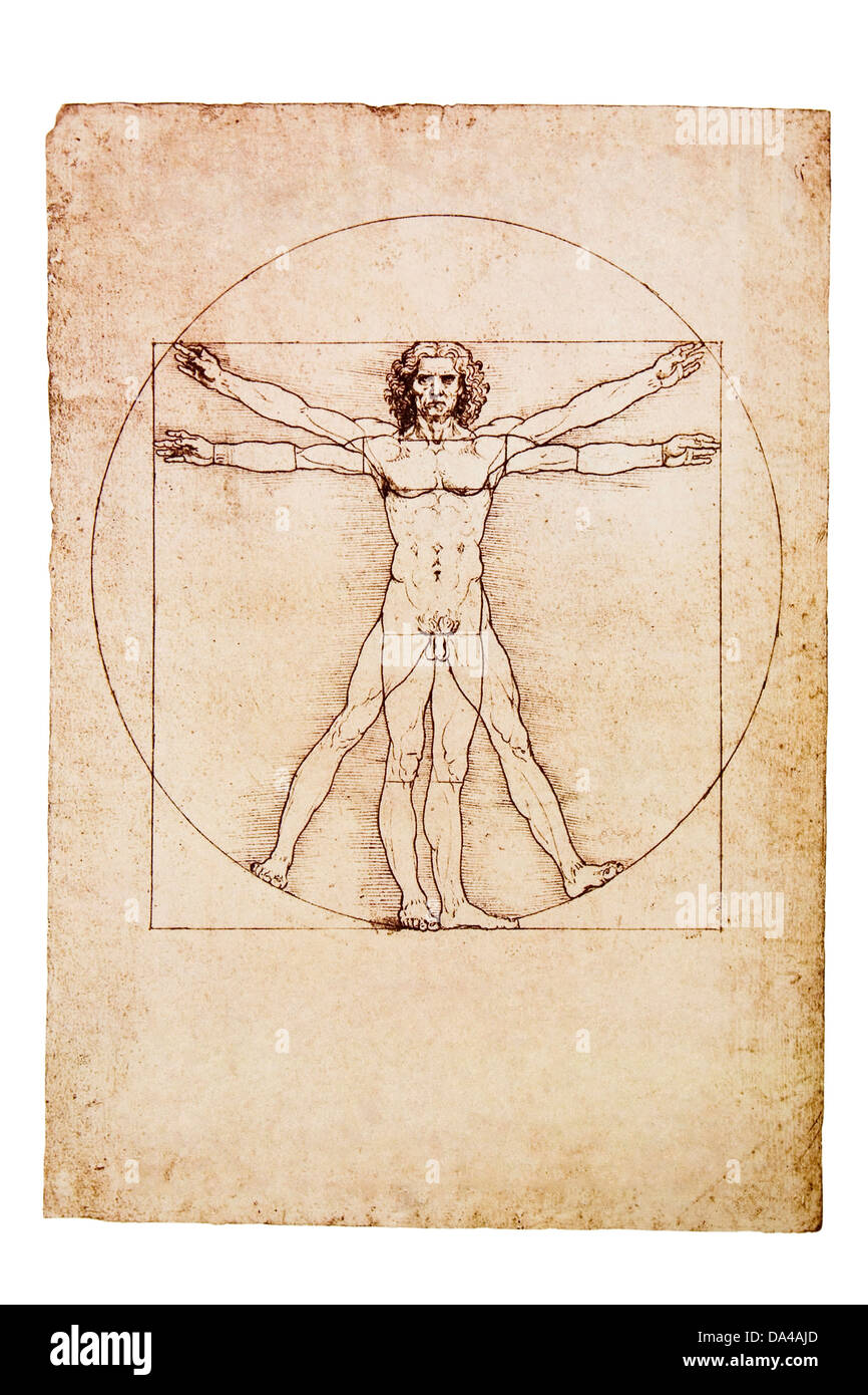 Da Vinci's uomo vitruviano isolato su bianco Foto Stock