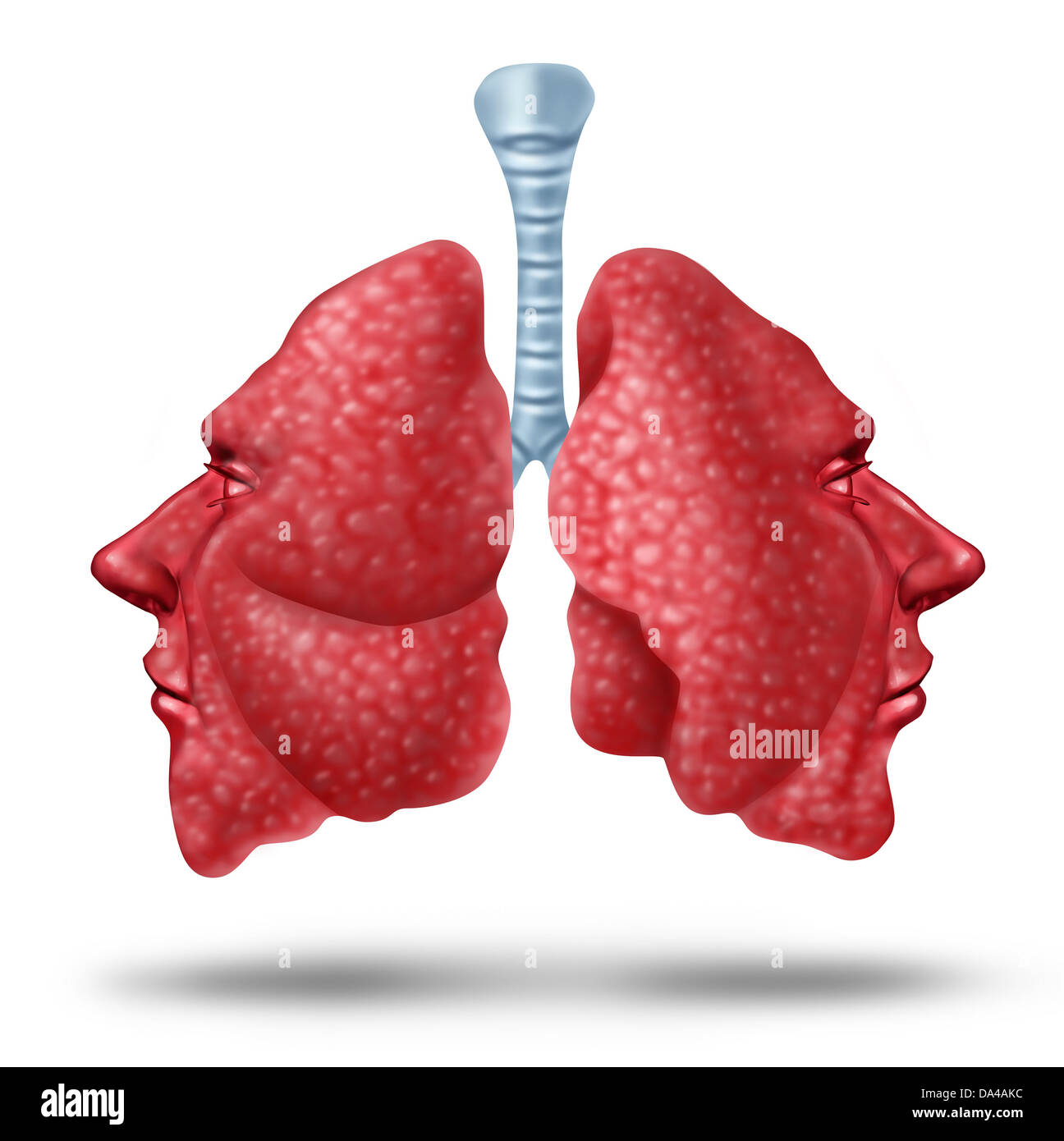 La comprensione del polmone la salute e i polmoni concetto con i due lati della parte interna degli organi respiratori a forma di teste umane come una cura heallth symol di repiratory questioni su uno sfondo bianco. Foto Stock