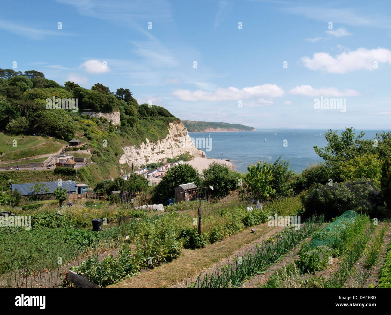 Riparto giardini sulla collina sopra la spiaggia, birra, Devon, Regno Unito 2013 Foto Stock