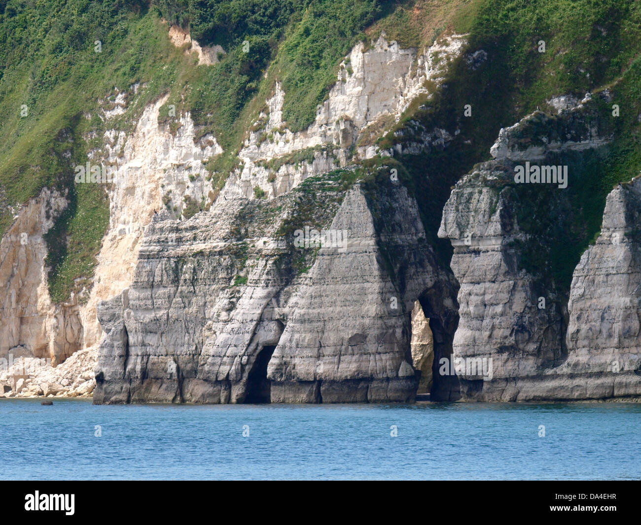 White chalk cliffs, birra, Devon, Regno Unito 2013 Foto Stock