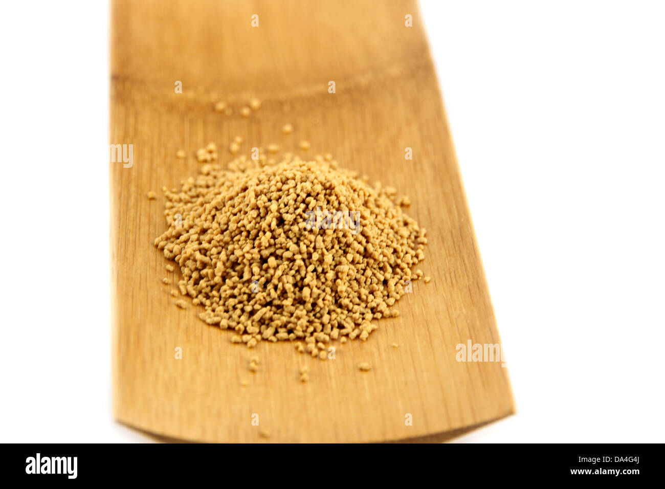 Lo zenzero in polvere in bamboo piatto su uno sfondo bianco. Foto Stock