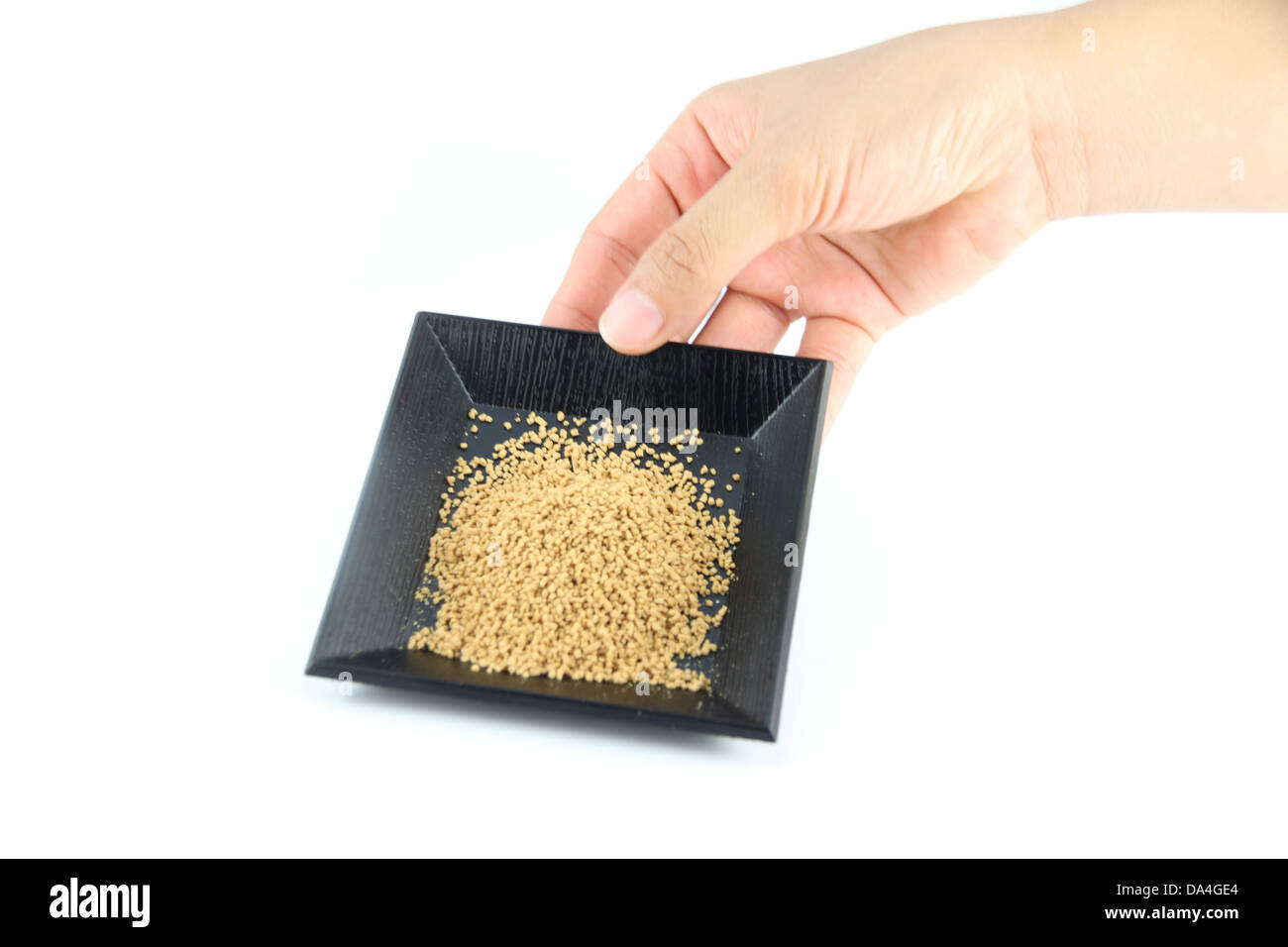 Mano sono catturate una piastra di zenzero in polvere su sfondo bianco. Foto Stock